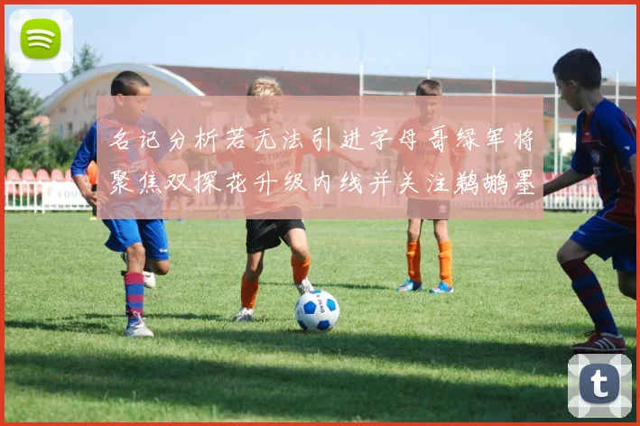 名记分析若无法引进字母哥绿军将聚焦双探花升级内线并关注鹈鹕墨菲