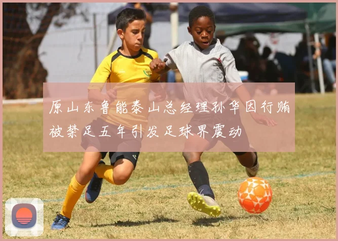 原山东鲁能泰山总经理孙华因行贿被禁足五年引发足球界震动